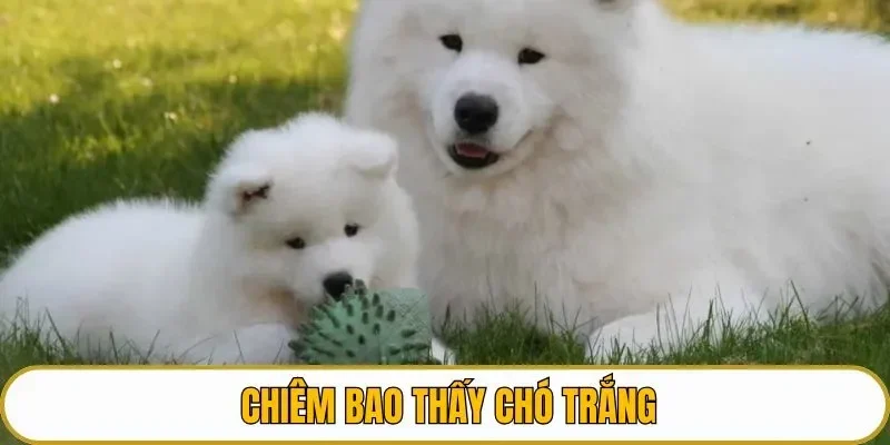 Chiêm bao thấy chó trắng