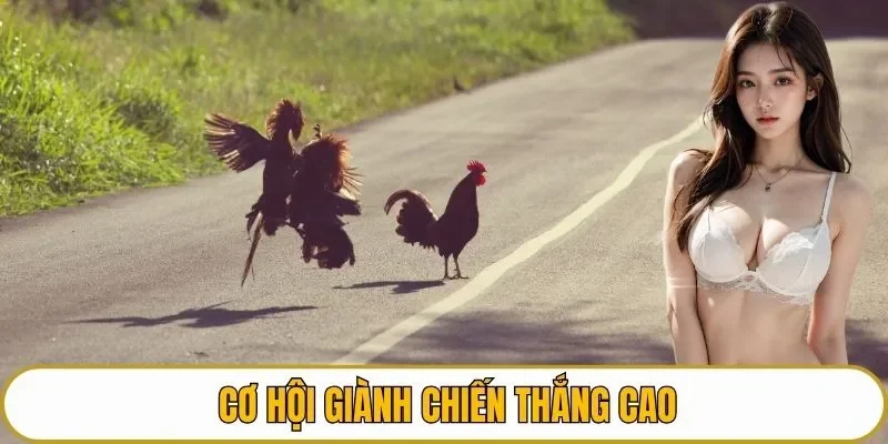 Cơ hội giành chiến thắng cao