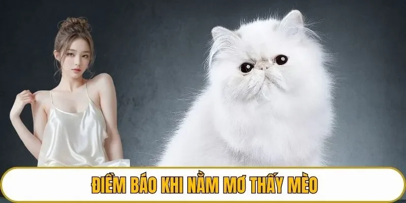 Điềm báo khi nằm mơ thấy mèo