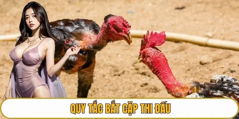 Quy tắc bắt cặp thi đấu