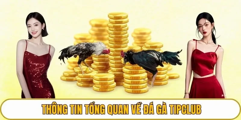 Thông tin tổng quan về đá gà TIPCLUB